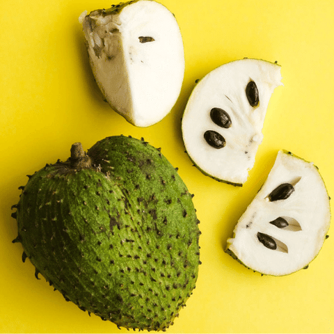 3 Pack of Soursop Pulps | GOYA