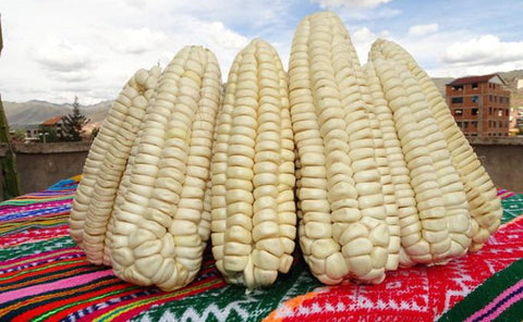 Peruvian Corn Trio | 3 Products